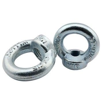 ISO-standaard C15 koolstofstaal gesmeed gegalvaniseerd M16 ringnoot Din 582