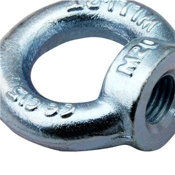 ISO-standaard C15 koolstofstaal gesmeed gegalvaniseerd M16 ringnoot Din 582