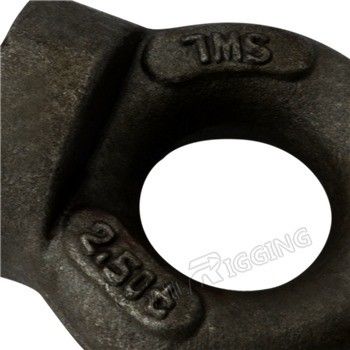 Precision Casting Technology Lifting Eye Bolts BS 4278 met CE-certificering