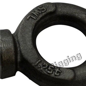Precision Casting Technology Lifting Eye Bolts BS 4278 met CE-certificering