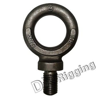 Precision Casting Technology Lifting Eye Bolts BS 4278 met CE-certificering