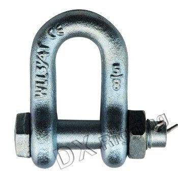 Stainless Steel Lifting Screw Pin Anchor Shackle voor Imperial Measurement System