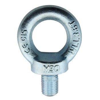 304 roestvrij staal voldraad Ring Lifting Eye Bolt DIN 580 Voor hefmachines