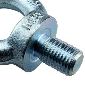 304 roestvrij staal voldraad Ring Lifting Eye Bolt DIN 580 Voor hefmachines